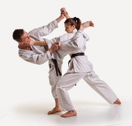 Manual de Karate-Do Para Principiantes 2025