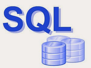 Manual del Lenguaje SQL 2025