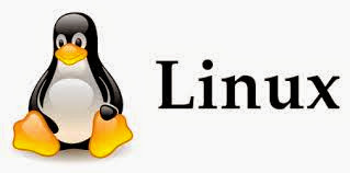Manual Pr&aacute;ctico de Linux