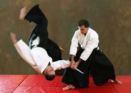 Manual de Aikido Para Principiantes